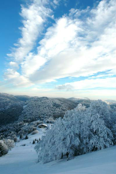 planche-des-belles-filles 3.jpg