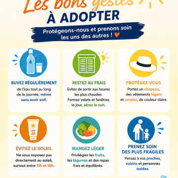 CANICULE - Les bons gestes à adopter